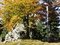 Prediktstuhl im Herbst